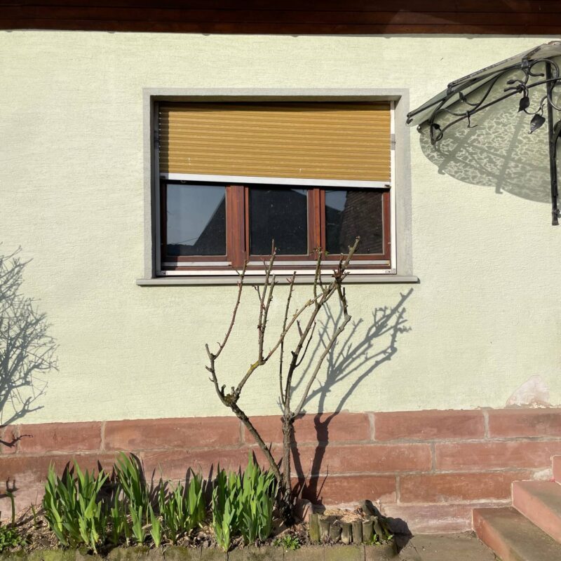 Photos page d’accueil Illkirch-Graffenstaden 8