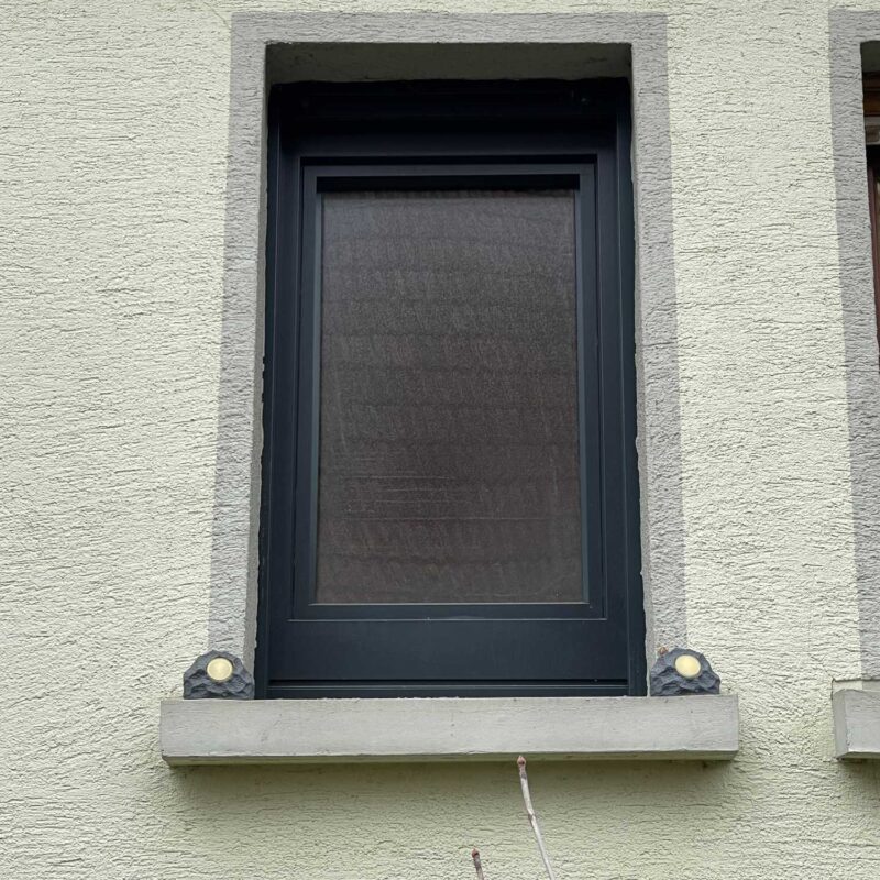 Fen&ecirc;tres Colmar 2